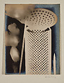 Champs délicieux (Delicious Fields), Man Ray (American, Philadelphia, Pennsylvania 1890–1976 Paris), Portfolio of twelve gelatin silver prints
